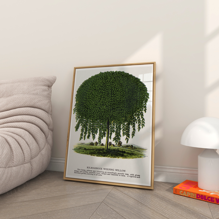 Weeping Willow Vintage Poster